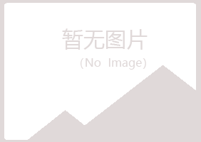 保德县夏岚金属有限公司